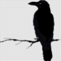 silhouette-of-a-crows-in-different-vector-9695664.jpg