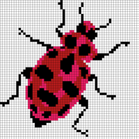 lady beetle.jpeg