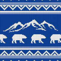 Copy of bear pillow front