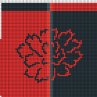 Carnation