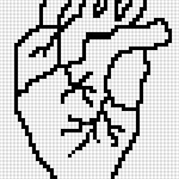 Heart diagram