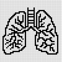 Lung Diagram