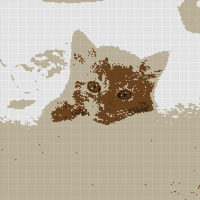 kitten-development-first-six-weeks-555170-hero-32ec234004154f9aa87109b0d7d5bc03.jpg