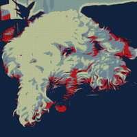 301680946_486113309609204_5909792455514629740_n.jpg
