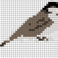 chickadee_warped.png
