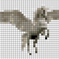 horse.jpg
