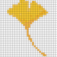 Ginkgo 