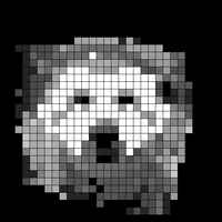 scamp_bw.jpg