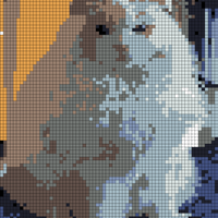 IMG_9273.PNG