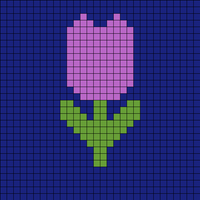 Tulip