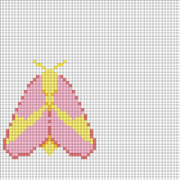 moth attempt 1