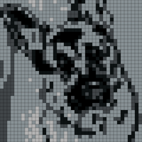German Shepherd 1