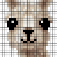 Greg the alpaca