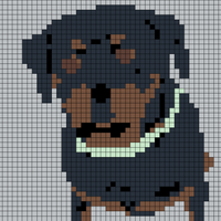 Gus