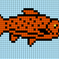 fisk