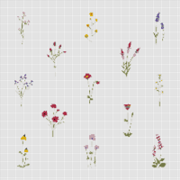 Copy of set-collection-wild-flowers-vector-illustration_53876-25907.jpg
