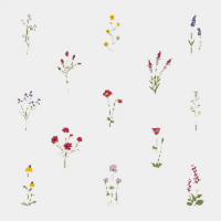 set-collection-wild-flowers-vector-illustration_53876-25907.jpg