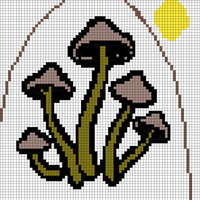 mushrooms.webp
