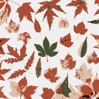 DALL·E 2022-09-06 21.28.36 - photograph of various autumn colored leaves seen from above, letrism.png