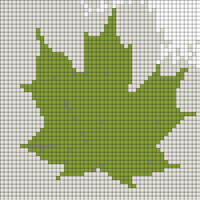 vaahteranet_Rzmc8.webp
