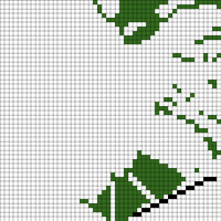 Monstera