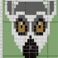 Copy of Lemur