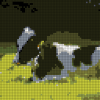 DENISE-Knitting-100x64-Cow2.jpg