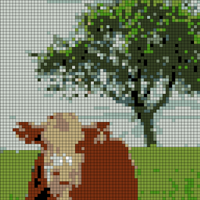 DENISE-Knitting-100x64-CowTree2.jpg