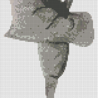 cala-removebg-preview.png