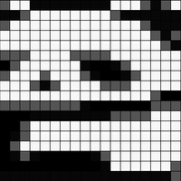 panda  1.JPG