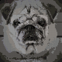 s.jpg