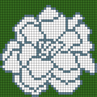 Gardenia2