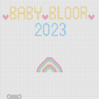 Baby Bloor Blanket