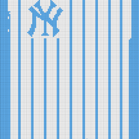 NY Yankee blanket