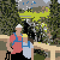 NPwidth50