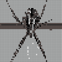 spider.jpg
