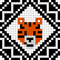 Tiger socks.jpeg