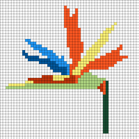 Bird of Paradise 2