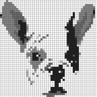 IMG_8778.GIF