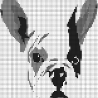 IMG_8778.GIF