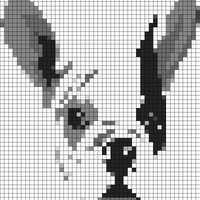 IMG_8778.GIF