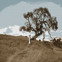 C20A4118_websize.jpg