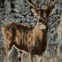 deer.jpeg