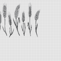wheat-bread-ears-hand-drawn-vector-illustration_514781-520.jpg.webp