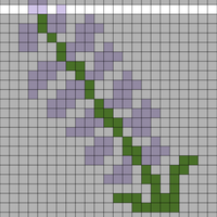 lavender