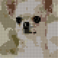 316046945_844093150122178_3739962443389431870_n.jpg