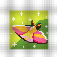 Rosy Maple Moth