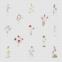 set-collection-wild-flowers-vector-illustration_53876-25907.jpg