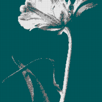 AdobeStock_241720095.jpeg