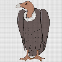 how-to-draw-a-vulture.jpg